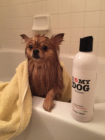 Natural Dog Shampoo Oatmeal & Neem - Lovely Fresh - 8
